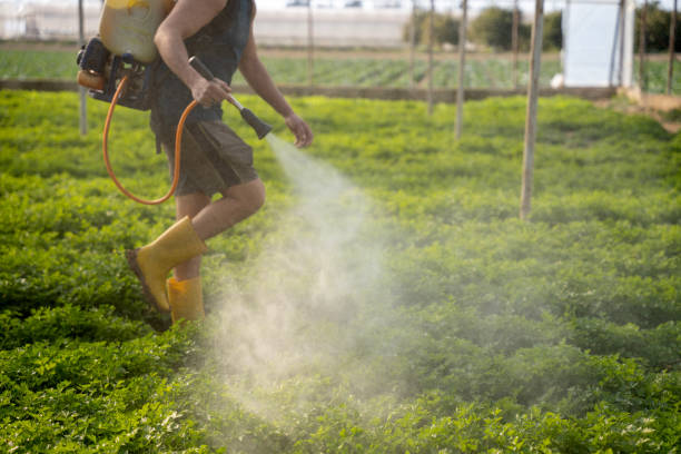 Professional Pest Control in Kenilworth, PA