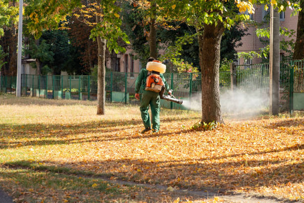 Best Wasp Removal Services  in Kenilworth, PA